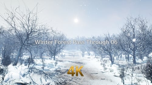 Winterwaldpass 4K 06