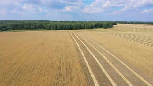 Aerial View of Combine Harvester