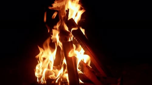 Burning Campfire with Flames at Night