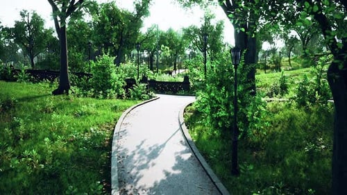 Animated Walk Through a Serene 3D Park Path