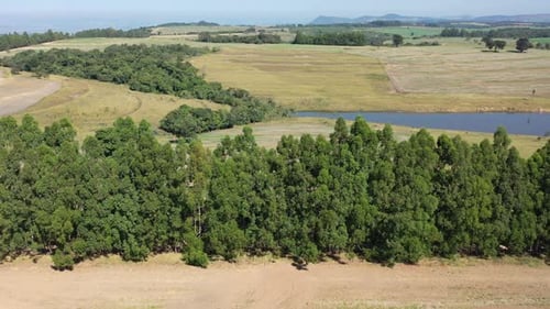 Rural landscape aerial view. Nature scenery