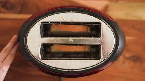 Toaster Cooking Toast on Kitchen Countertop