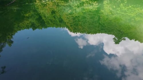 Green Lake With Trees Reflection On Water