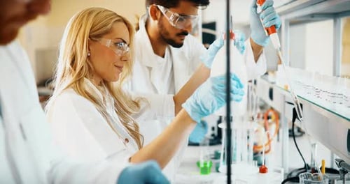 Group of Chemistry Students Working in Laboratory