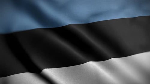 Estonian Flag Waving Seamlessly for National Identity Concepts