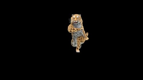 Leopard Dancing HD