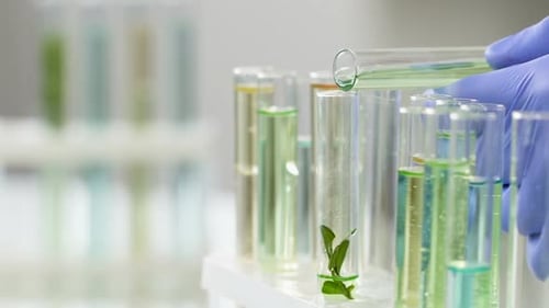 Un scientifique ajoute un liquide spécial au tube à essai avec du ferment pour en faire un extrait utile