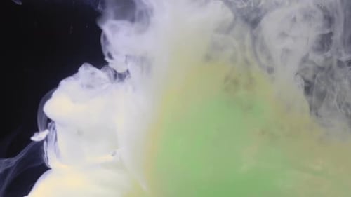Green and White Paint Swirls Against Black Backdrop