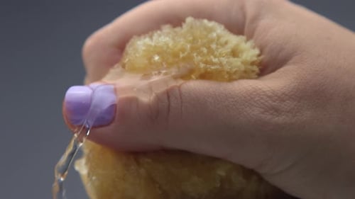 Hand Squeezing Water From Natural Yellow Sea Sponge