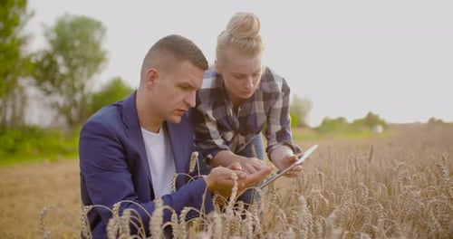 Man and Woman with Tablet in Wheat Field
