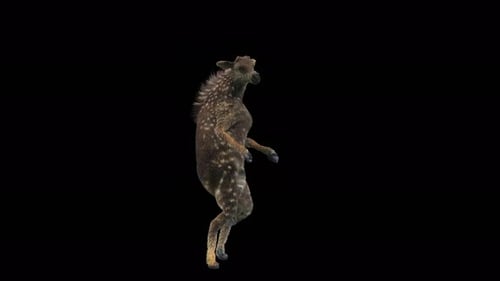 Cute Spotted Deer Dancing on Two Legs Alpha Channel