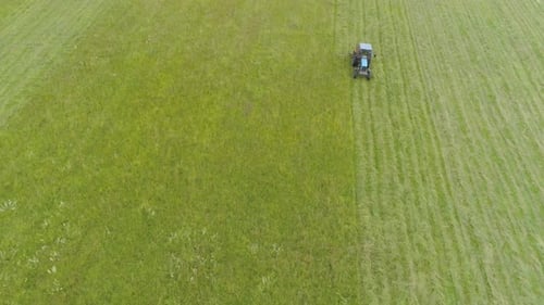 Traktor mäht Gras