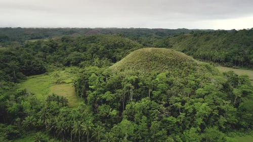 Vista aérea redonda y única de una colina en medio de Chocolate Hills
