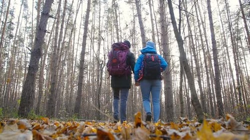 Hiking and Backpacking Concept. Young Couple of Travelers Walking in Forest in Autumn Day