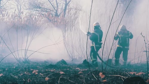 Two Firefighters in Equipment Extinguish Forest Fire with Fire Hose. Slow Motion