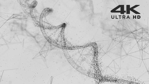 DNA - Partikel