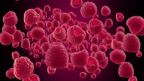 Flying Fresh Red Raspberries in Slow Motion