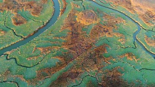 Aerial view of small river crossing wetland during sunset, Netherlands.