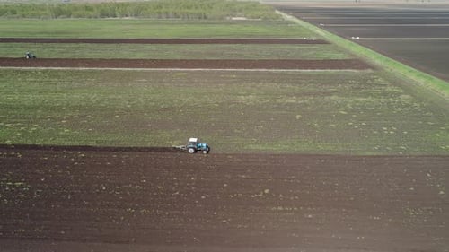 Tractor Plows Farm Land