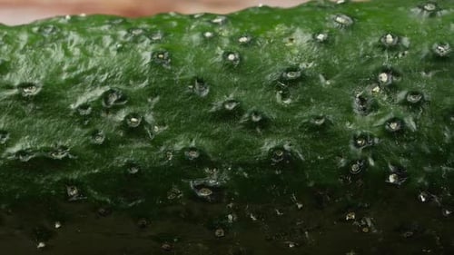 Cucumber close up texture