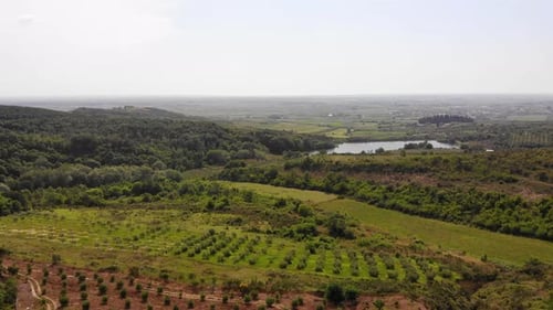 Aerial Drone View Over Vineyards Towards Agricultural Fields During Sunset