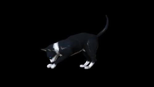 Katzen-Animation