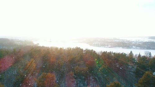 Aerial View of the Winter Forest
