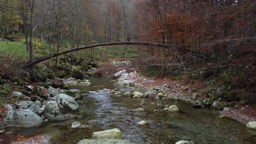 Autumn Mountain River