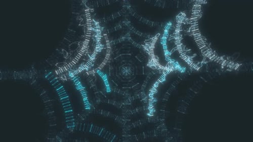 Digitales Spinnennetz 4k