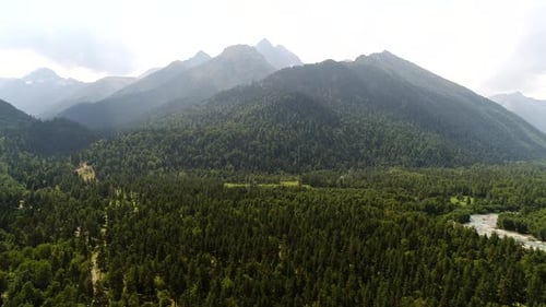 Luftpanorama Wilder Wald Grüne Berge und Fluss