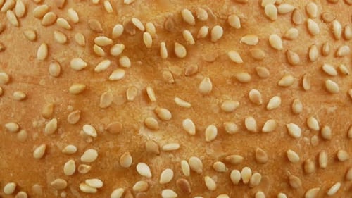 Close Up View of Hamburger Bun with Sesame Seeds