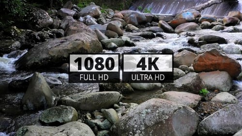 AH - Forest River 05