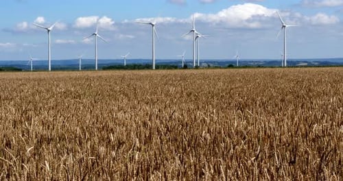 950067 Wind Turbines with Blue Sky, near Caen in Normandy, Real Time 4K