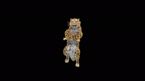 66 Leopard-Tanzen 4K