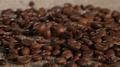Ausgewählte Körner duftende Kaffeebraun Sackleinen fallen auf Liegen. Nahaufnahme