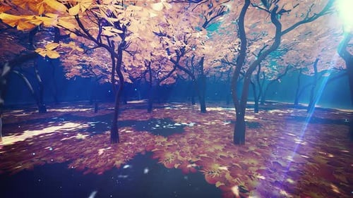 Autumn Forest