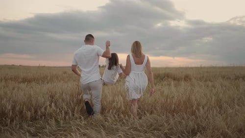 Slow Motion Happy Family of Farmers with Child are Walking on Wheat Field