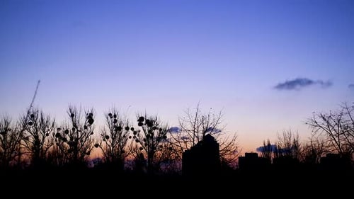 Flocks of Birds Flying Over Lonely Abandoned City, Scary Dark Cityscape, Shadows