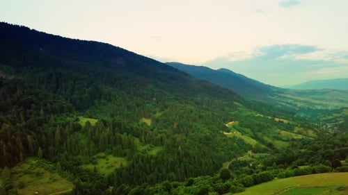Aerial View of the Endless Lush Pastures of the Carpathian Expanses and Agricultural Land