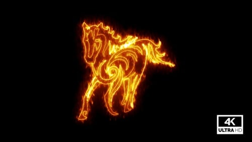 Fiery Horse Line Art Digital Reveal Animation