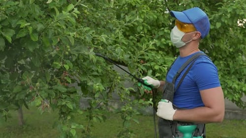 Man Farmer Worker sprüht Pestizidbehandlung auf Obstgarten