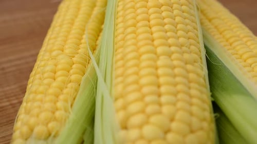 Fresh Yellow Corn on the Cob Close Up