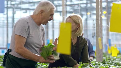 Adults Inspecting Plants in a Greenhouse