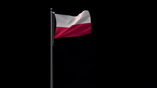 Realistic Waving Polish Flag Animated Clip