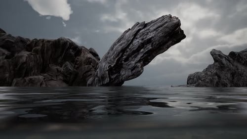 Half Underwater in Northern Sea with Rocks