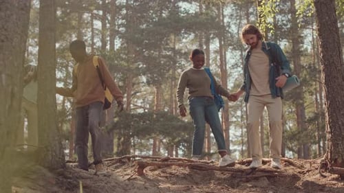 Multiethnic Friends Hiking in Forest at Summertime
