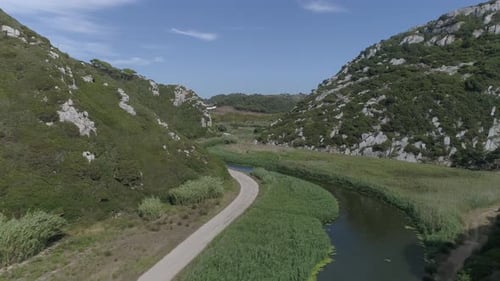 Morning Summer Landscape