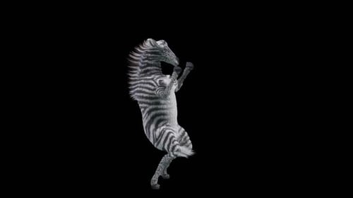 Realistic 3D Zebra Character Standing and Dancing