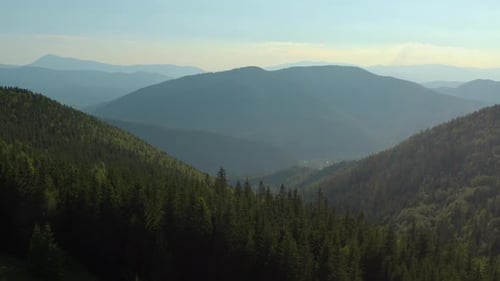 Aerial View of Mountain Peaks Covered with Dense Pine Forest