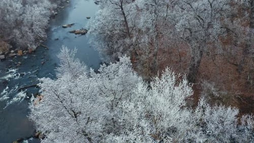 Tops of snowy trees over the water. Beautiful narrow river flowing in the forest in winter season.
